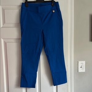 Blue Cropped Pants